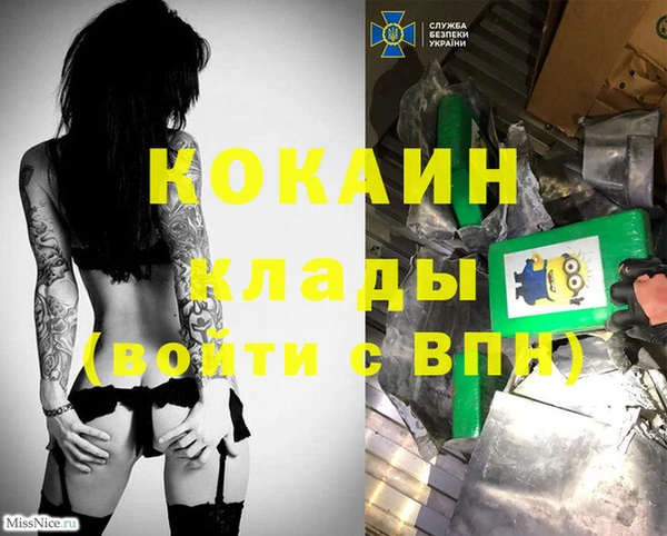 меф Вяземский