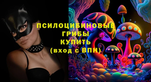 меф Вяземский