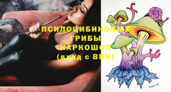 spice Вязьма