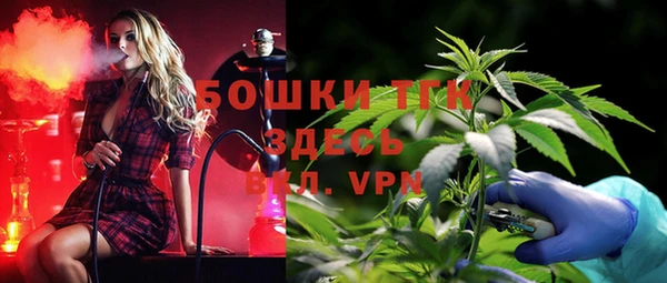 меф Вяземский