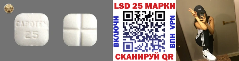 Купить закладки  Биробиджан  LSD-25 экстази кислота 