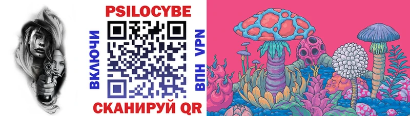Купить закладки  Биробиджан  Галлюциногенные грибы Psilocybe 
